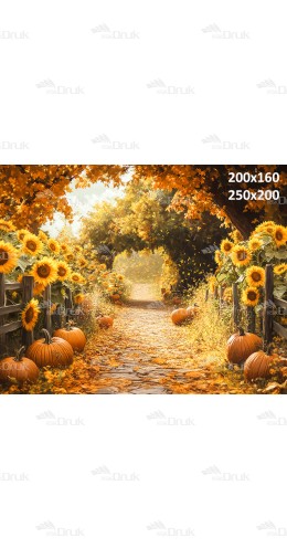 Tło fotograficzne Jesień J_161